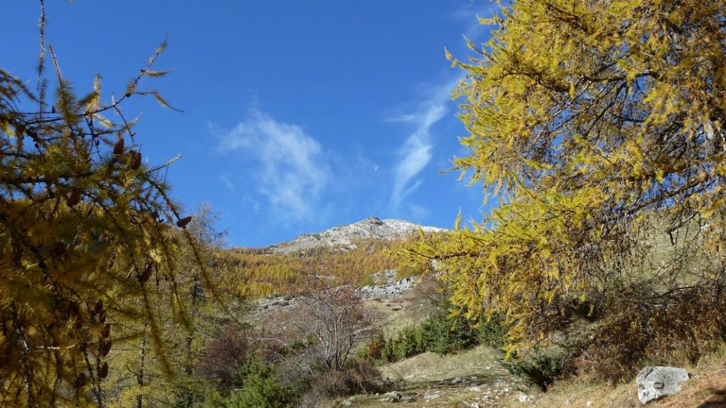 cabane_sangraure_2012_046.jpg