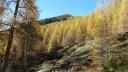 cabane_sangraure_2012_012.jpg
