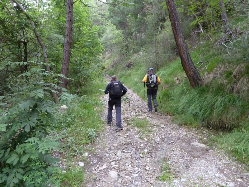 sellanche_2011_003.jpg