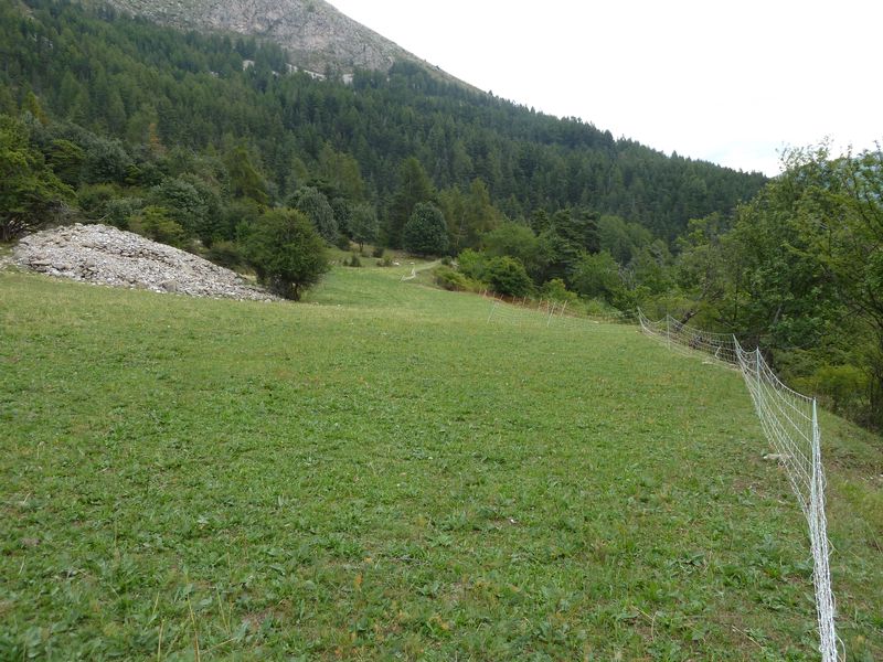 sellanche_2011_043.jpg