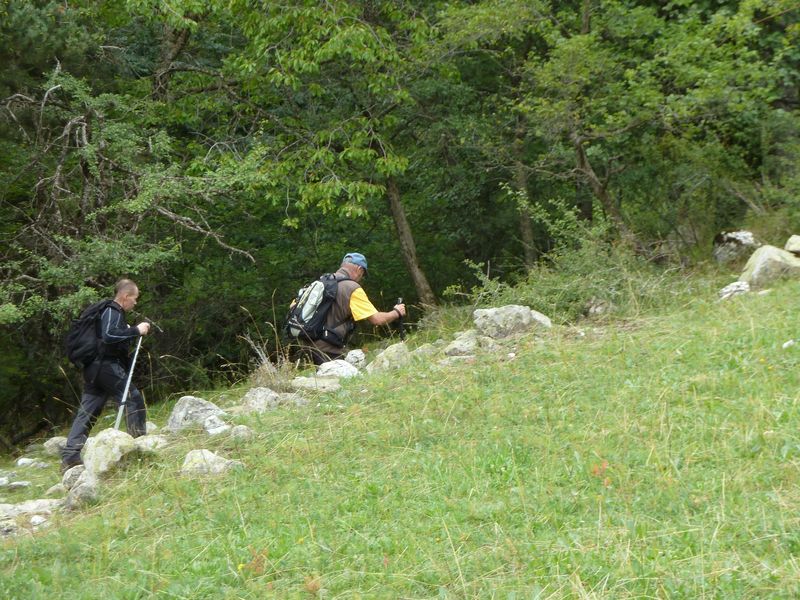 sellanche_2011_049.jpg