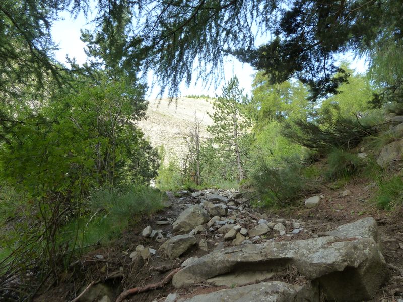 sellanche_2011_069.jpg