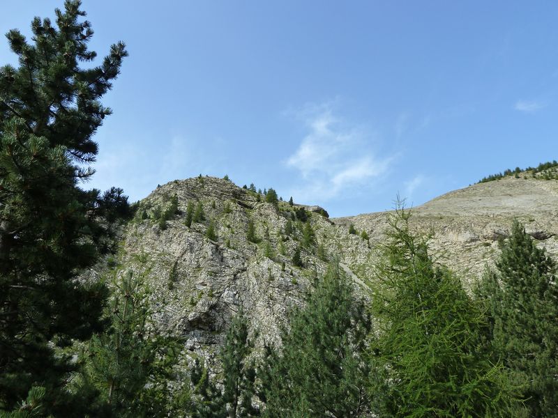 sellanche_2011_071.jpg