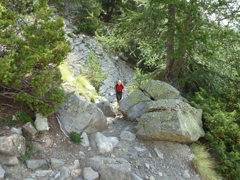 sellanche_2011_089.jpg