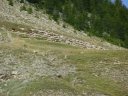 sellanche_2011_073.jpg