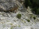 sellanche_2011_091.jpg