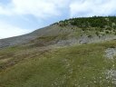 sellanche_2011_099.jpg