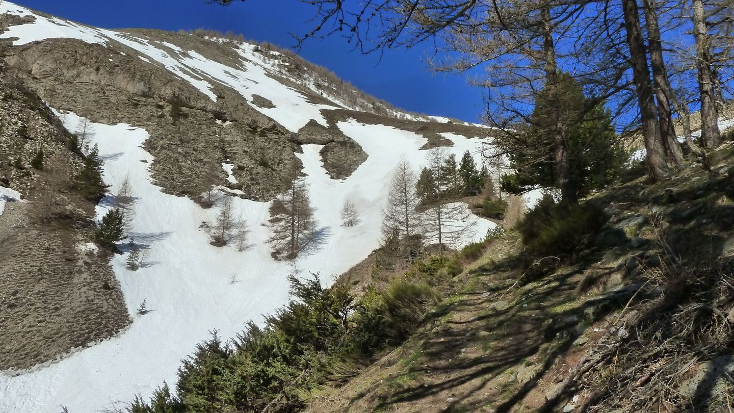la_sellanche_avril_2018_037.JPG