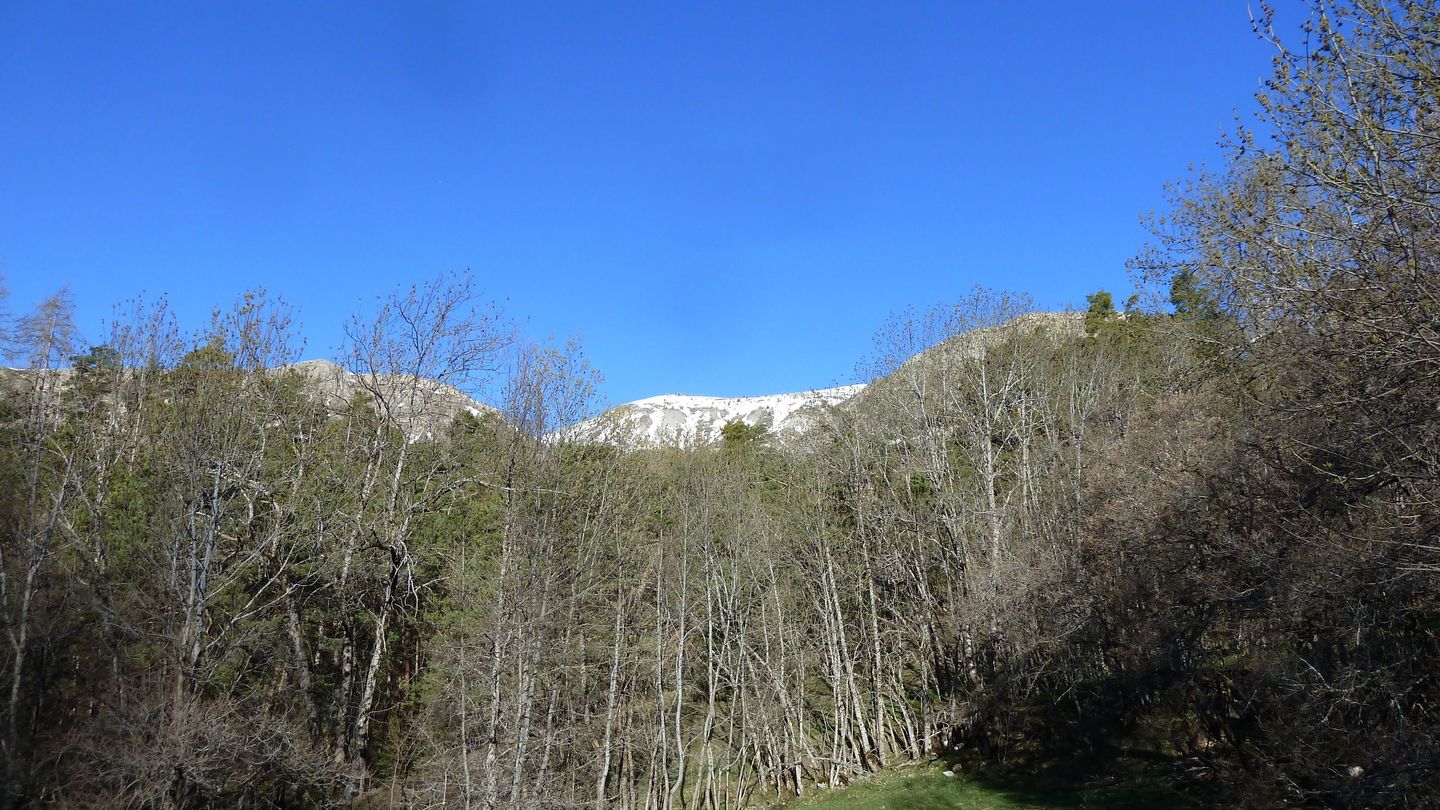 la_sellanche_avril_2018_05.JPG