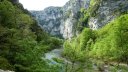 P1110350.JPG