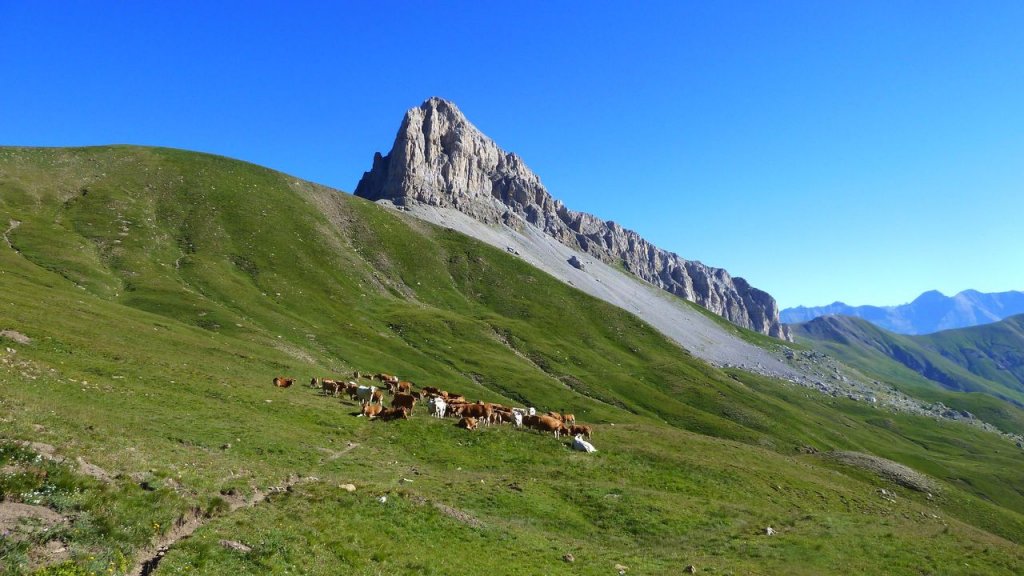 seolane_juillet_2016_039.JPG