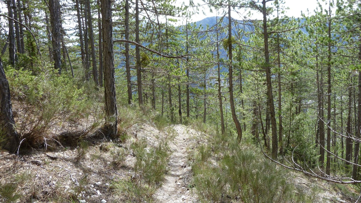 col_de_seoune_avr_2017_077.JPG
