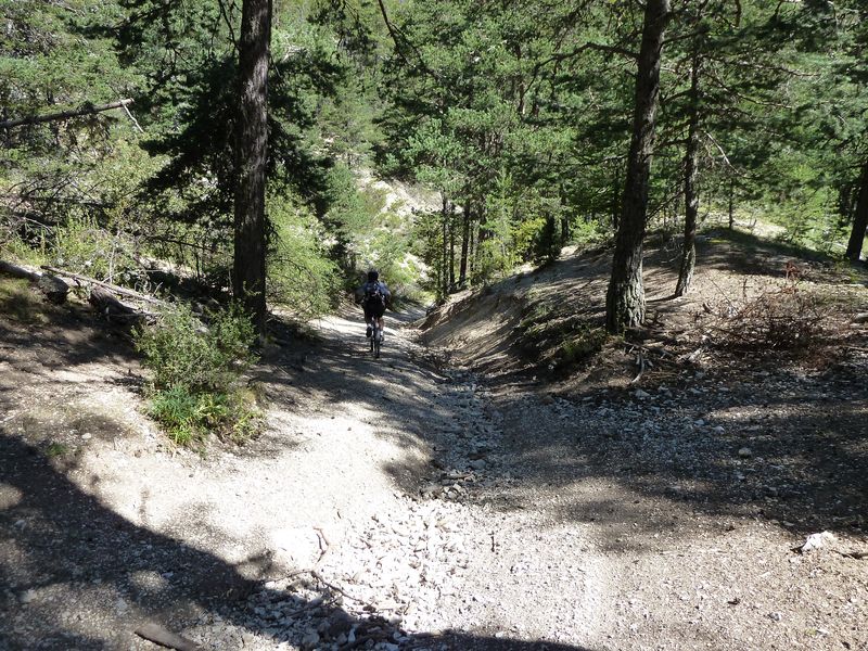 seoune_juillet_2011_043.jpg