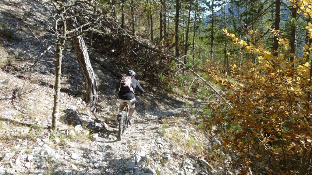 autour_thorame_oct_2011_061.jpg
