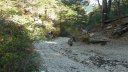 autour_thorame_oct_2011_045.jpg