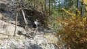 autour_thorame_oct_2011_061.jpg