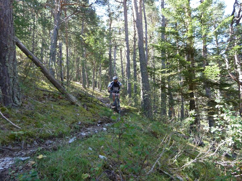 serre_carlet_2011_029.jpg