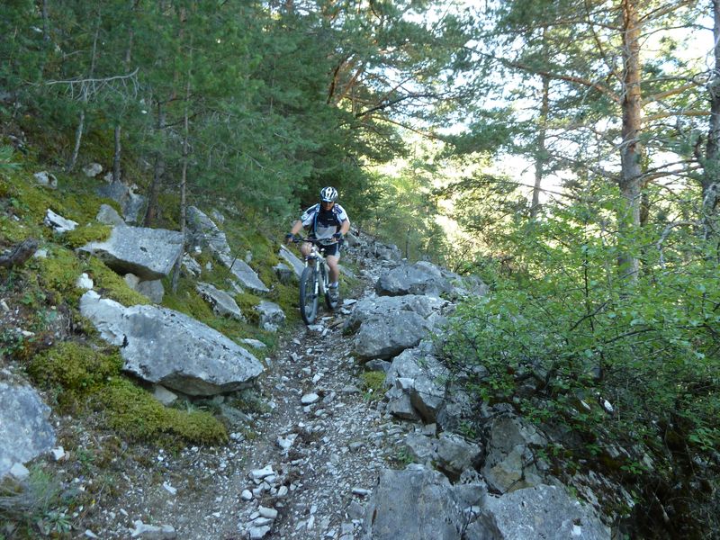 serre_carlet_2011_035.jpg