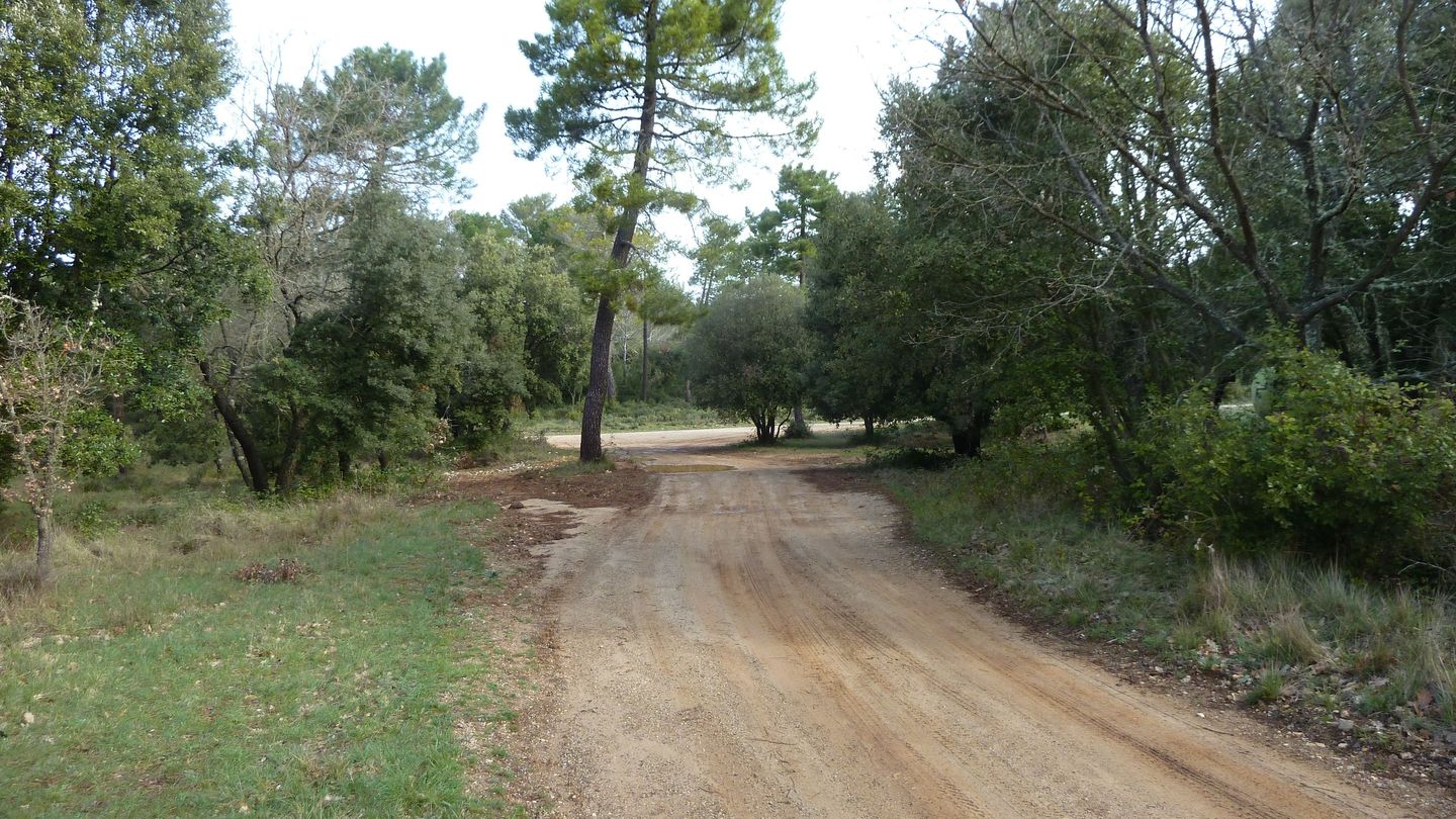 siou_blanc_avril_2018_013.JPG