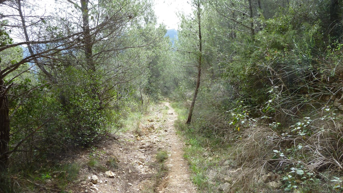 siou_blanc_avril_2018_063.JPG