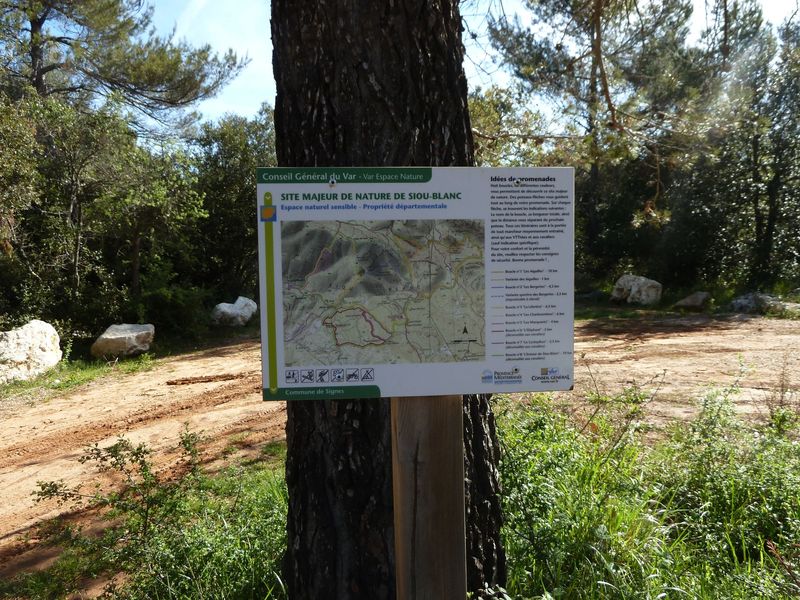 siou_blanc_mai_2012_022.jpg