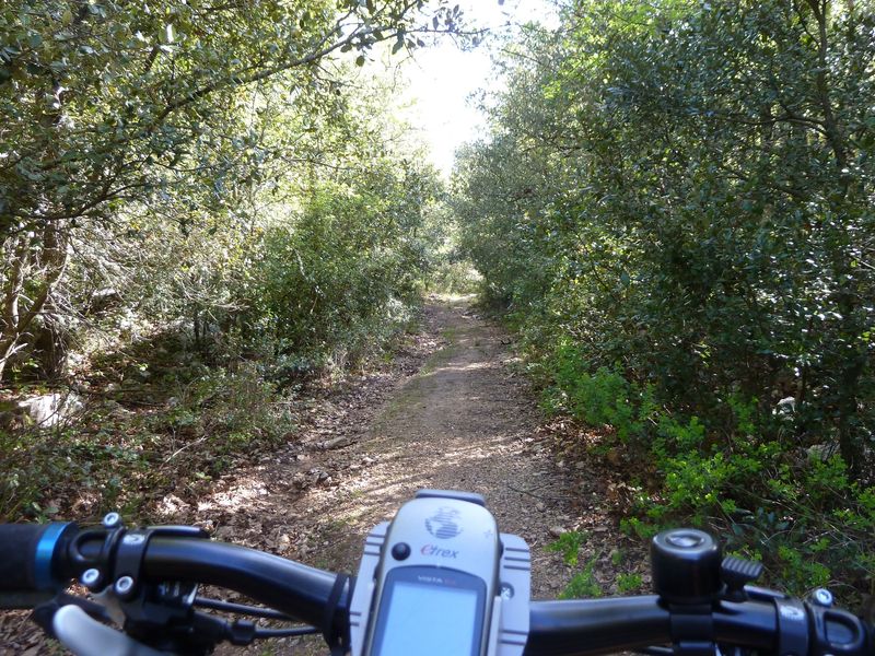 siou_blanc_mai_2012_026.jpg