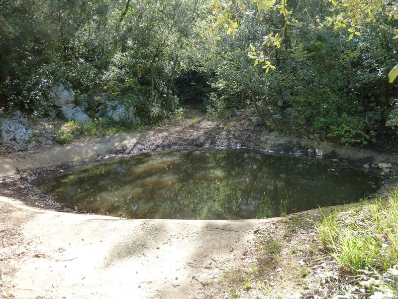 siou_blanc_mai_2012_030.jpg