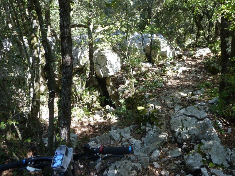 siou_blanc_mai_2012_034.jpg