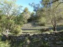 siou_blanc_mai_2012_008.jpg