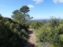 siou_blanc_mai_2012_050.jpg