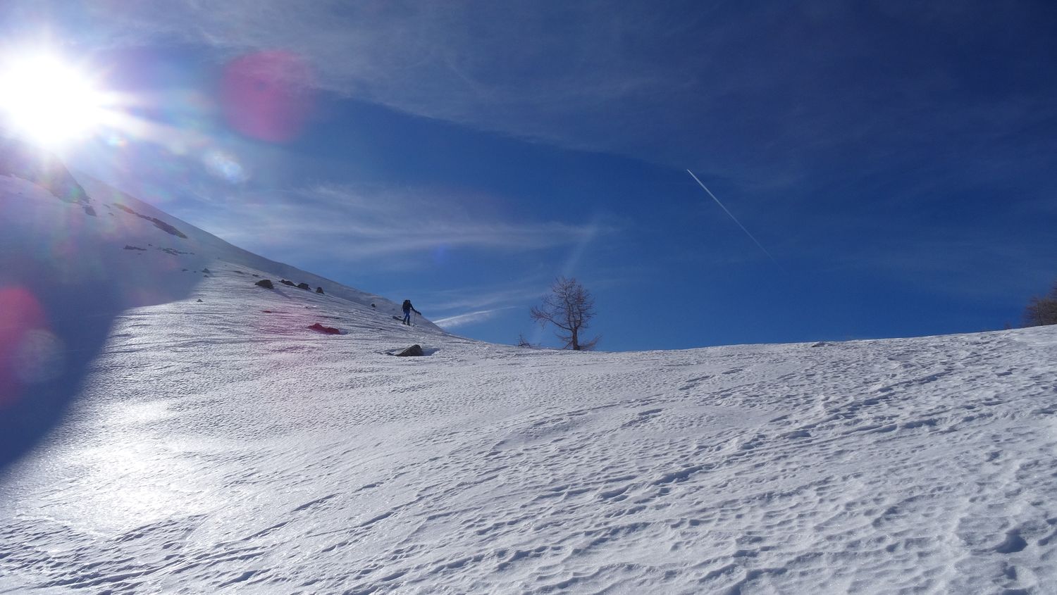 monier_fev_2020_11.jpg