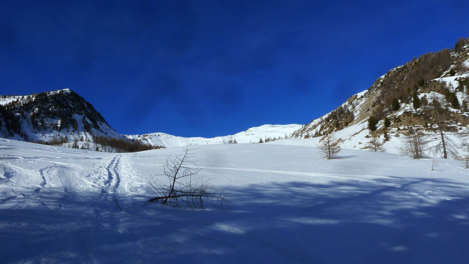 simance_fev_2019_07.JPG