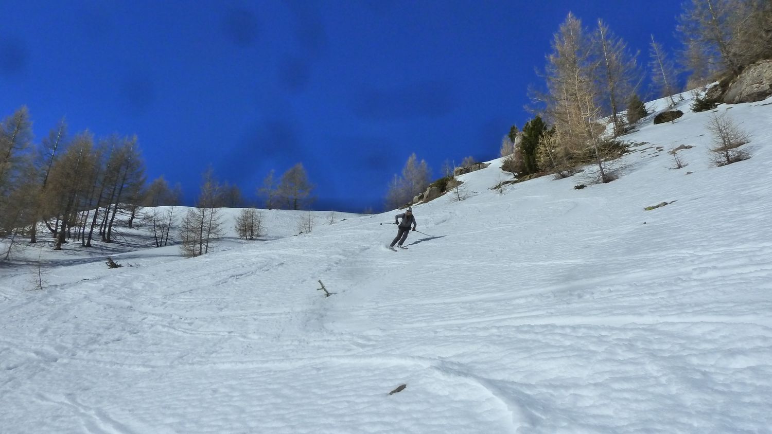 simance_fev_2019_51.JPG