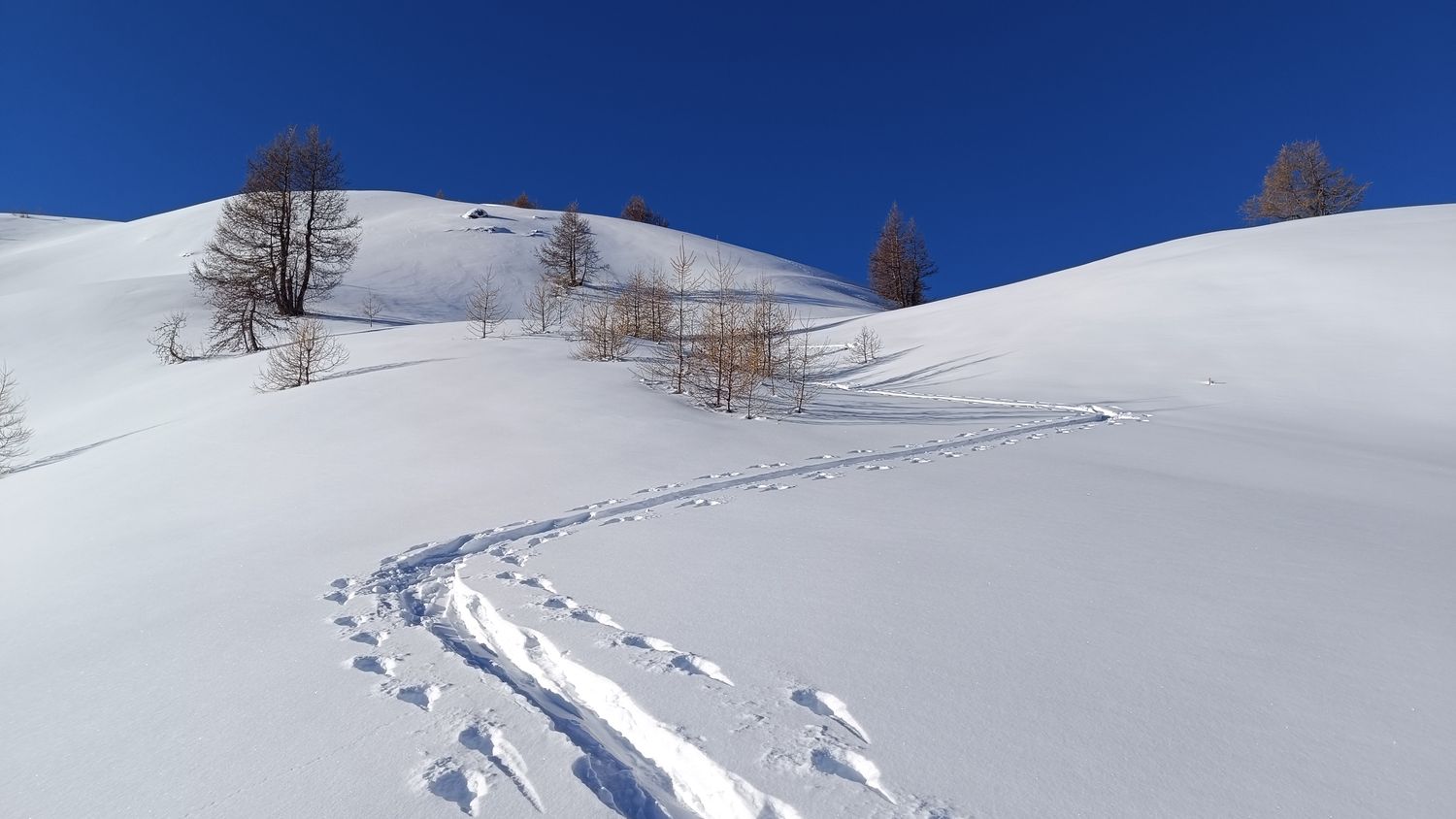 pra_bertrand_janv_2024_016.jpg