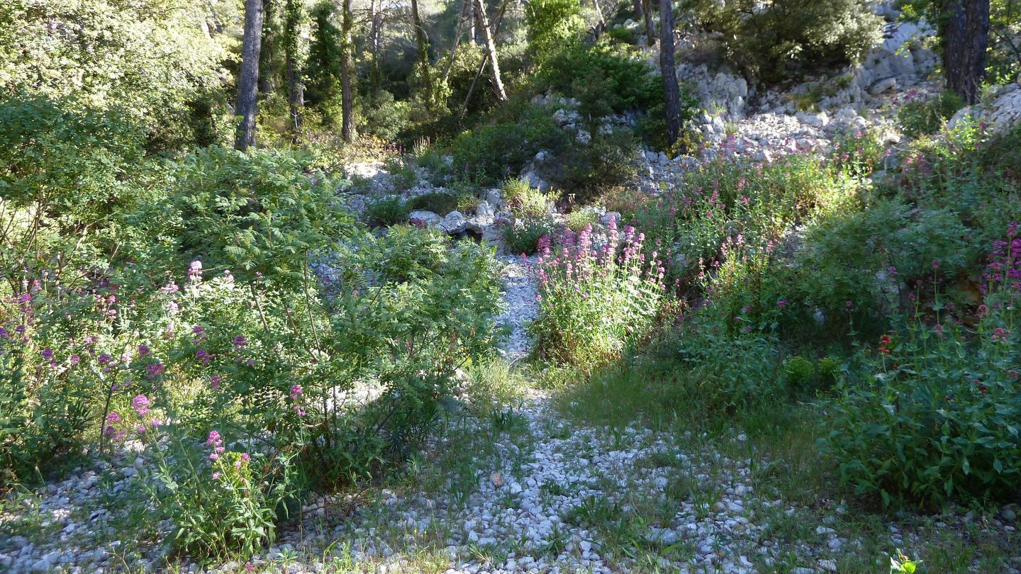 sommet_faron_avril_2017_055.JPG
