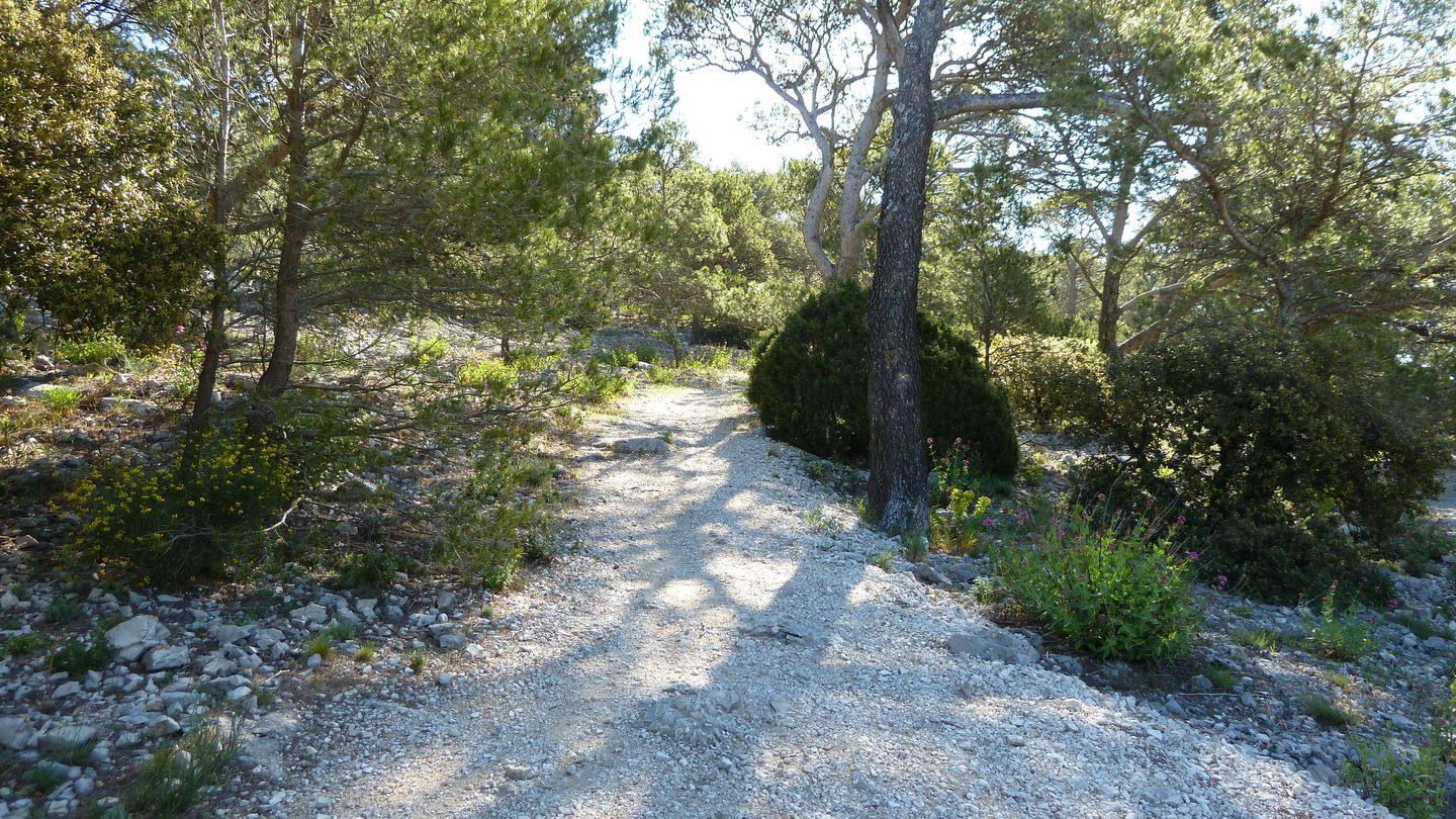 sommet_faron_avril_2017_075.JPG