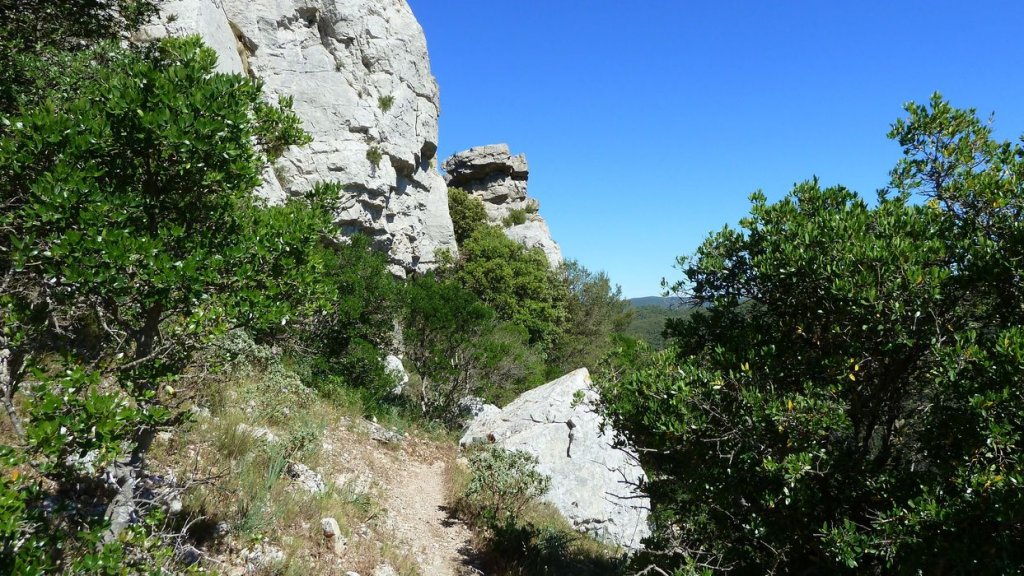 P1090221.JPG