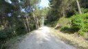 sommet_coudon_mai_2016_009.JPG