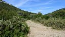 sommet_coudon_mai_2016_061.JPG