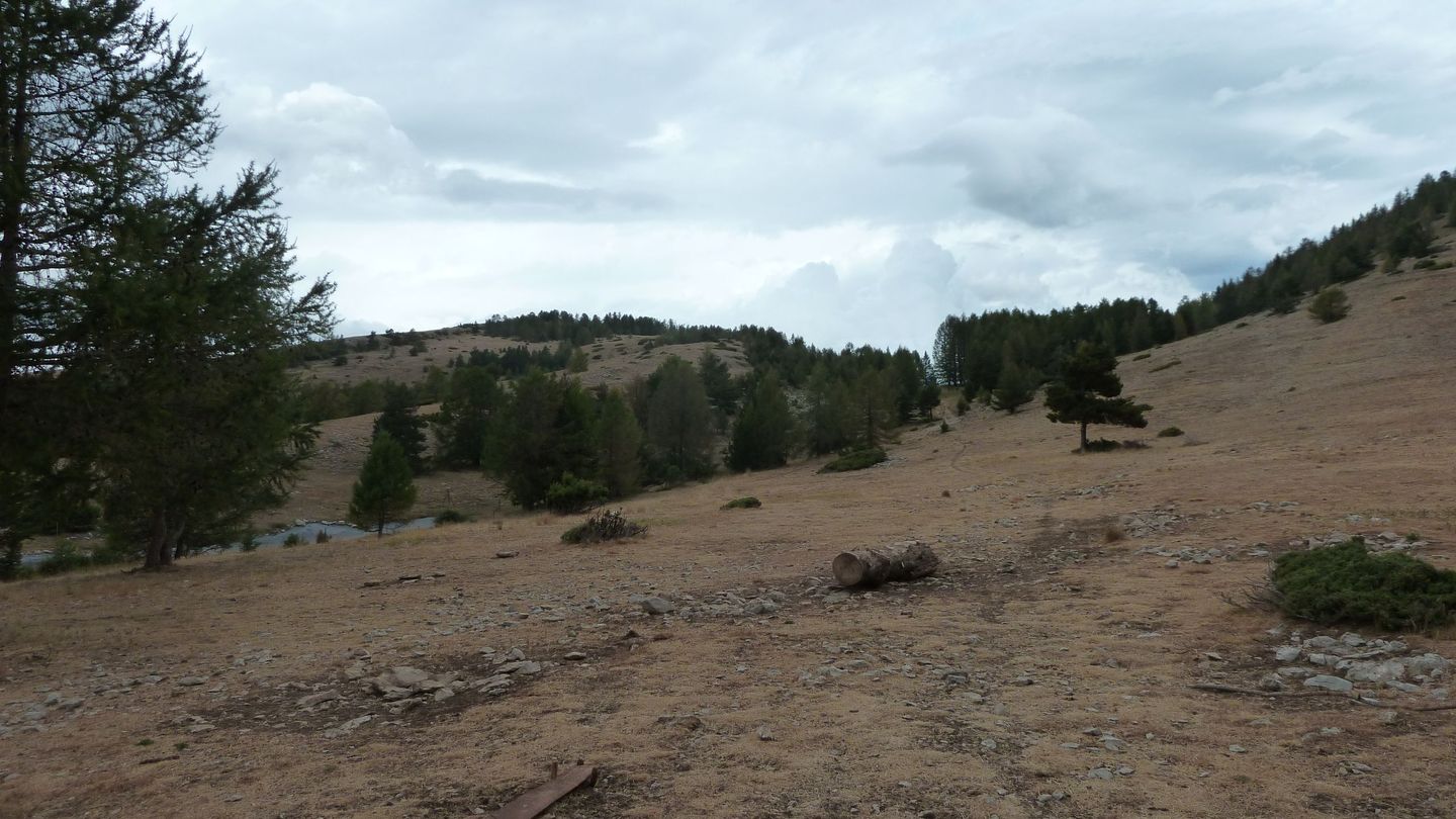 mont_2017_046.JPG