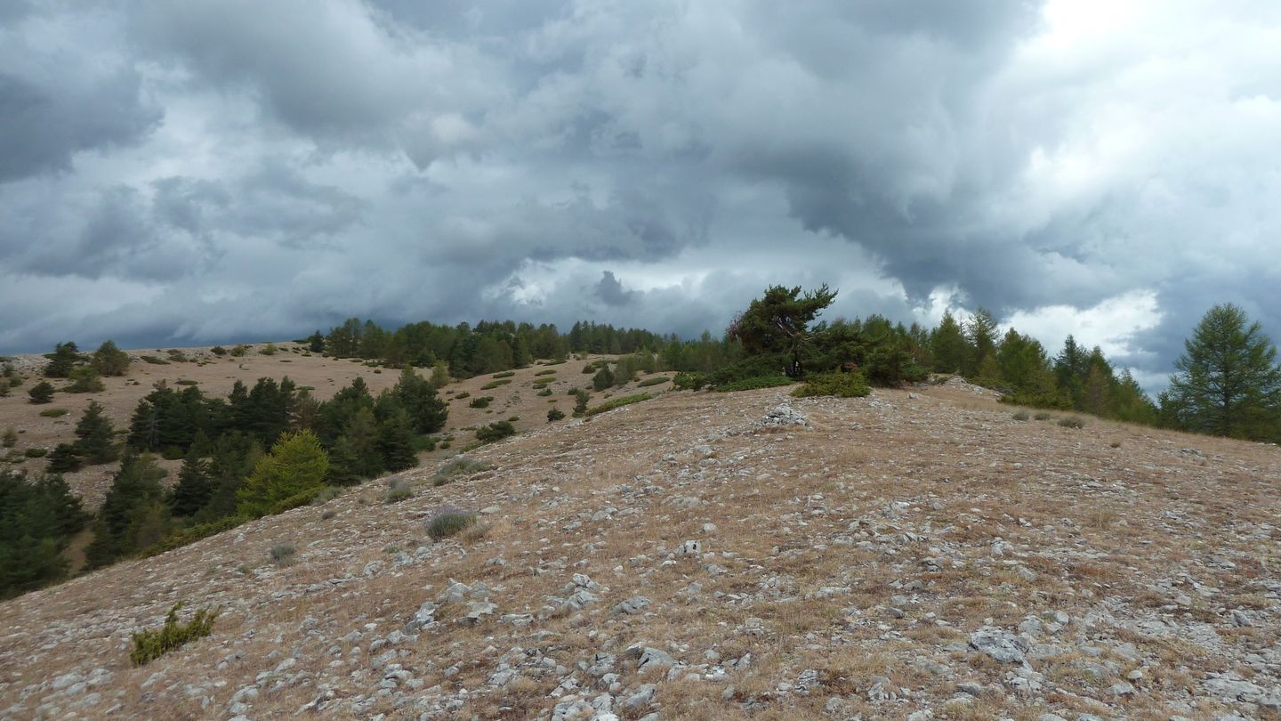mont_2017_058.JPG