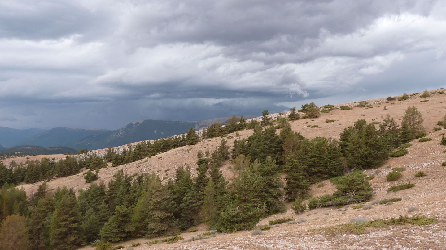 mont_2017_061.JPG