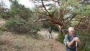 mont_2017_034.JPG