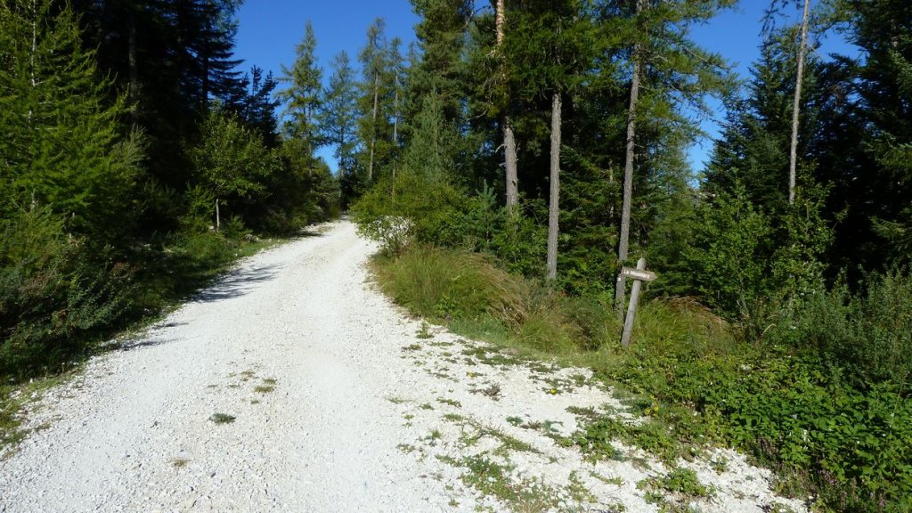 sommet_ticordoeil_aout_2014_020.jpg