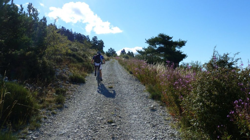 sommet_ticordoeil_aout_2014_064.jpg