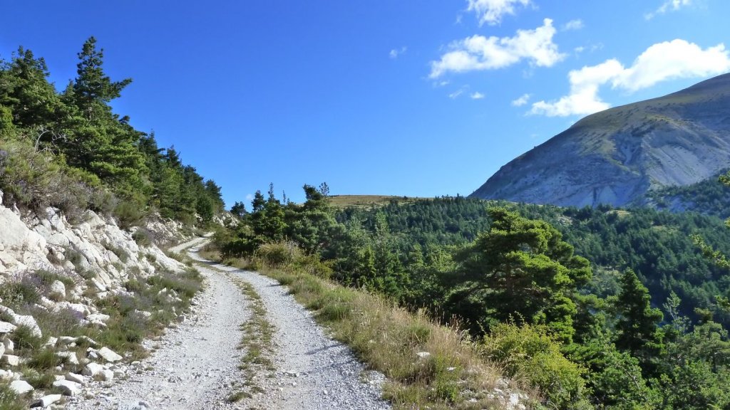sommet_ticordoeil_aout_2014_074.jpg