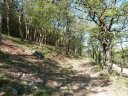 chapelle_st_quinis_juin_2012_024.jpg