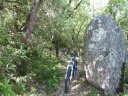 chapelle_st_quinis_juin_2012_032.jpg