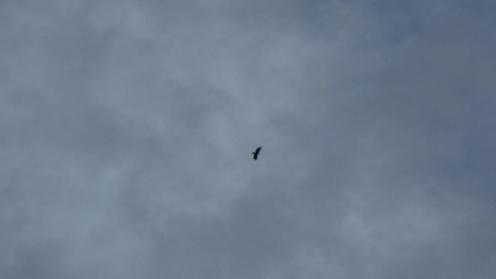 ste_anne_2011_021.jpg