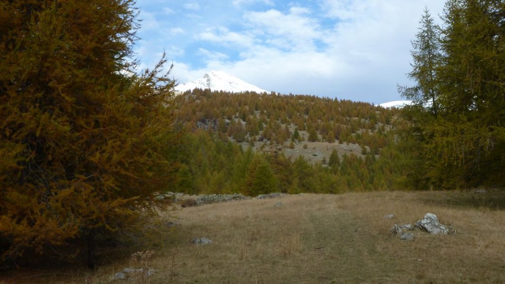 ste_anne_2011_049.jpg